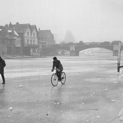 Fed381c2a130 Hallidayheader