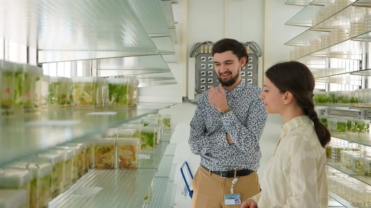 Mac and Marianna observe their plant samples in an incubation room