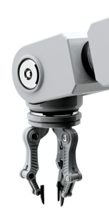 Graphic of half an ear of corn