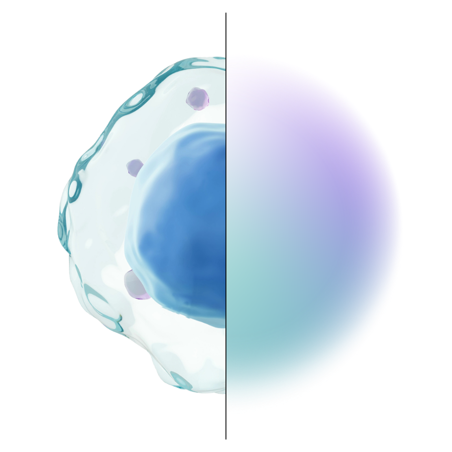 Graphic of half a amoeba with a teal and purple gradient making up the other half