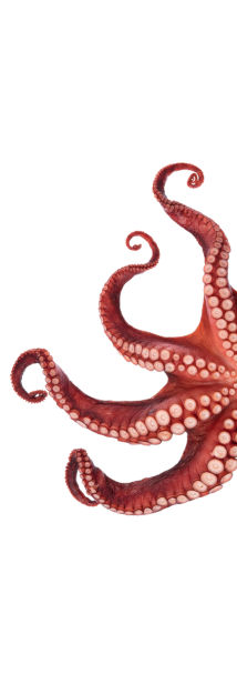 Extending Our Perception